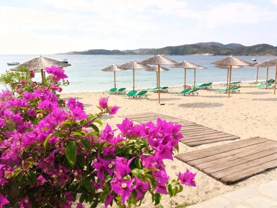 Vilas In The Garden By The Sea Sykia Chalkidikis Bagian luar foto